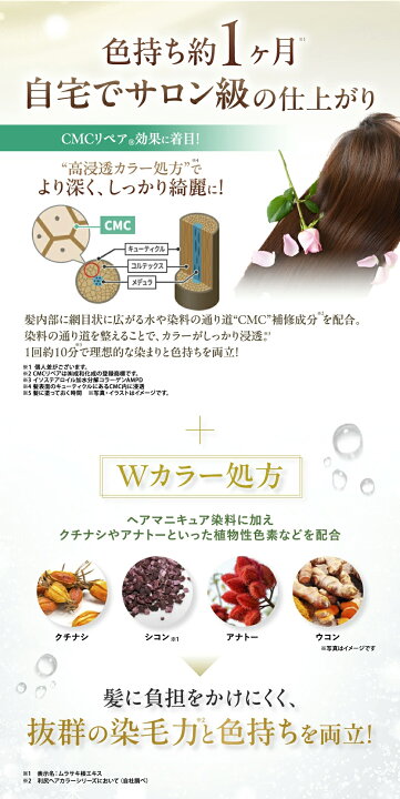 楽天市場】白髪用 利尻カラークリーム 170g サロン級の染め上がり 