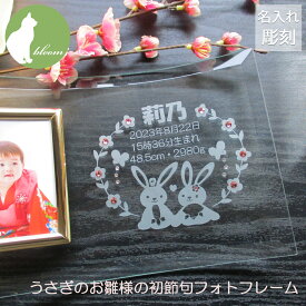 初節句 名入れ フォトフレーム 名前札 名前旗 内祝い 内祝 お返し 両親 祖父母 お祝い 品 御祝 かわいい プレゼント 贈り物 ギフト お雛様 ひな祭り 雛まつり 写真立て フォトスタンド ガラス スワロ スワロフスキー 女の子【うさぎのお雛様の初節句名入れフォトフレーム】