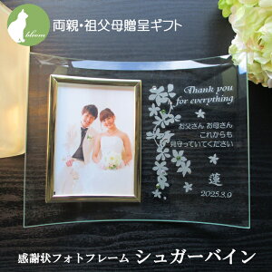  e i qĊӏ v[g Mtg  I EFfBO c  tHgt[ ʐ^ tHgX^h bZ[W yev[gEӏtH