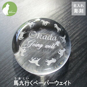    iF ObY NX}X 2025 ʉ  ؁[p[EFCg  a v[g Mtg j  蕨 Ԃ j j Cj  ސEj  w 