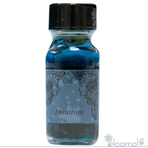 t[GbZX AVFg[IC CgbV  Intuition