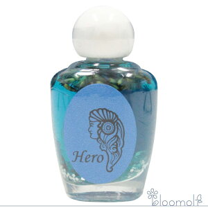 q[[ Hero AVFg[IC 2021N菤i