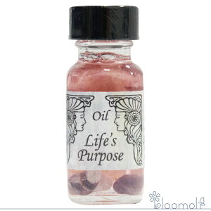 CtXEp[pX Life's purpose l̖ړI AVFg[IC
