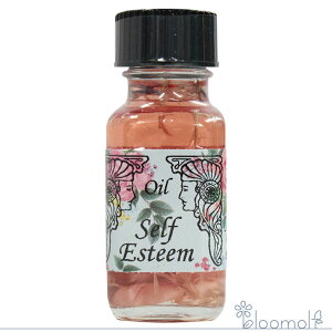 t[GbZX AVFg[IC ZtEGXeB[ Self Esteem 󂯂ƂߔF߂