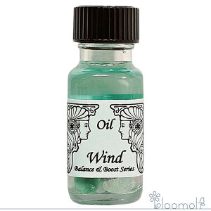 t[GbZX AVFg[IC EBh Wind C