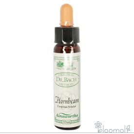 ホーンビーム エインズワースレメディ エッセンス