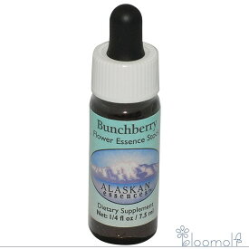 バンチベリー アラスカン・エッセンス フラワーエッセンス