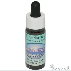 uh[eB[ AXJEGbZX t[GbZX