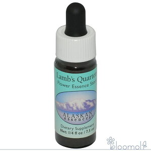 YNI[^[Y AXJEGbZX t[GbZX