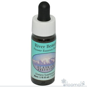 t[GbZX AXJEGbZX o[r[eB