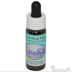 t[GbZX AXJEGbZX V[eBOX^[