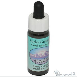 t[GbZX AXJEGbZX XeBbL[[jE