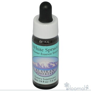 t[GbZX AXJEGbZX zCgXv[X