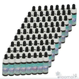 t[GbZX AXJEGbZX AXJt[GbZX S72{Zbg