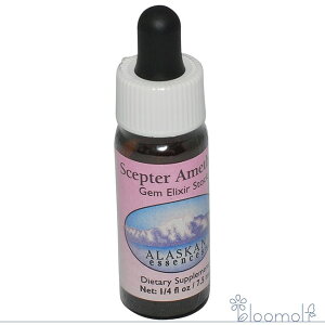 Zv^[AWXg AXJEGbZX WFGNT[