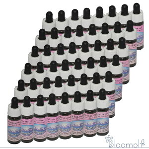 AXJWFGNT[S48{Zbg AXJEGbZX WFGNT[