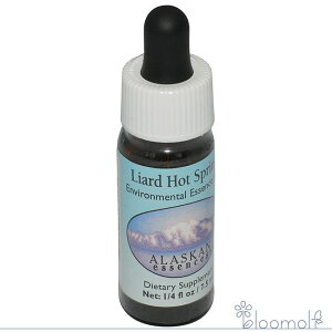 t[GbZX AXJEGbZX GoC^  A[hzbgXvO