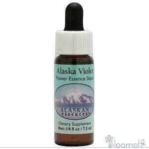 AXJoCIbg AXJEGbZX T[`GbZX t[