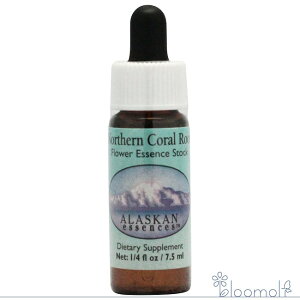 m[UR[[g AXJEGbZX T[`GbZX t[