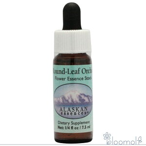 t[GbZX AXJEGbZX T[`GbZX t[ Eh[tI[Lbh