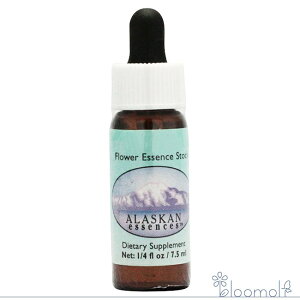 t[GbZX AXJEGbZX T[`GbZX t[ h[tt@C[EB[h Dwarf Fireweed ̔