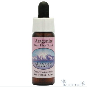 t[GbZX AXJEGbZX T[`GbZX WFGNT[ ASiCg