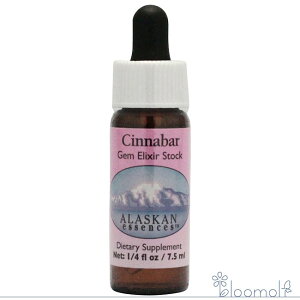 t[GbZX AXJEGbZX T[`GbZX WFGNT[ Vio[