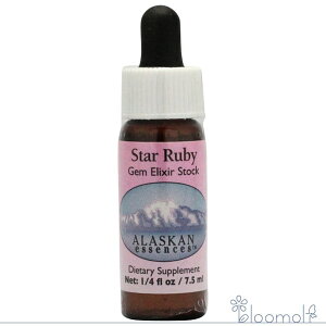 t[GbZX AXJEGbZX T[`GbZX WFGNT[ X^[r[