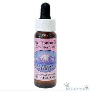 t[GbZX AXJEGbZX T[`GbZX WFGNT[ O[g} Green Tourmaline