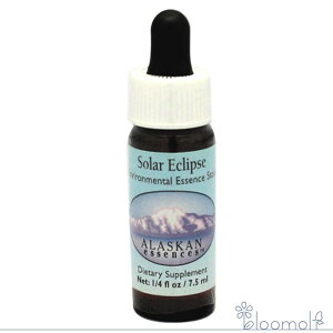 t[GbZX AXJEGbZX T[`GbZX GoC^ \[[GNvX