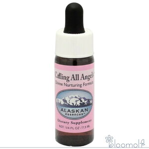 R[OI[GWFY AXJEGbZX Rrl[VtH[~ t[GbZX