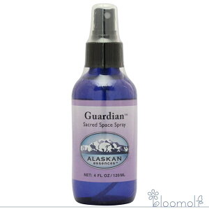 K[fBA Xv[ AXJEGbZX t[GbZX 120ml