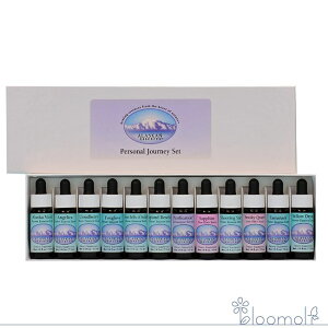 t[GbZX AXJEGbZX ̑ p[\iW[j[Lbg 12{