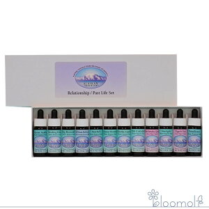 t[GbZX AXJEGbZX ̑ [VVbv pXgCtLbg 12{