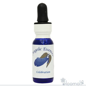 35 Zu[V AWFbNGbZX Vg̑蕨Lbg Celebration