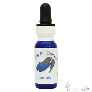 122 mECO AWFbNGbZX Vg̑蕨Lbg Knowing