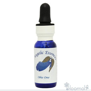 141 Ir[E AWFbNGbZX Vg̑蕨Lbg Obie One