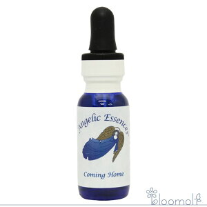 42 J~OEz[ AWFbNGbZX Xs`AȐƖڊo߂̃Lbg Coming Home