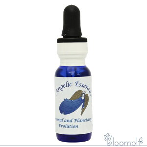 153 p[\iEAhEvl^[EG{[V AWFbNGbZX Xs`AȐƖڊo߂̃Lbg