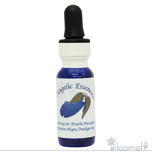 74 QCgEFCEgD[EgD[XEpbVEp[pXEz[v CfBS QCgEFC AWFbNGbZX