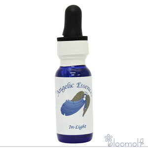 110 �C���E���C�g �A���W�F���b�N�G�b�Z���X �A���W�F���b�N�t���[�_���L�b�g In-Light