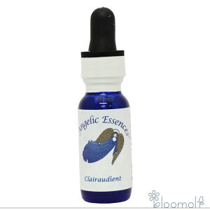 38 NAI[fBGg AWFbNGbZX VgƐɂȂ邱ƂLbg Clairaudient