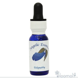 193 epV[ AWFbNGbZX VgƐɂȂ邱ƂLbg Telepathy