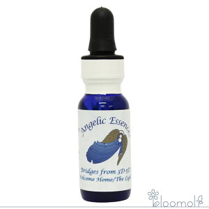 207 EFJEz[ UECg AWFbNGbZX 35̓̉˂Lbg Welcome Home The Light