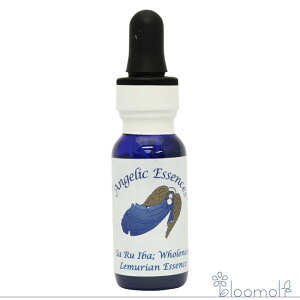 171 TCoS̐ AWFbNGbZX ALbg Sa Ru Iba