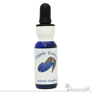 186 Xsi[EhtB AWFbNGbZX ALbg Spinner Dolphin