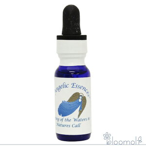 138 lC`[YER[(RA) NAOEIuEUEEH[^[Y AWFbNGbZX ̖Lbg