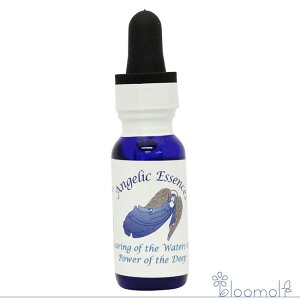 88 p[EIuEUEfB[v 傢Ȃ鐅̗ NAOEIuEUEEH[^[Y#4 AWFbNGbZX ̖Lbg