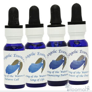 ̖Lbg S4{ Lbg AWFbNGbZX ̖Lbg Clearing of the Waters Kit