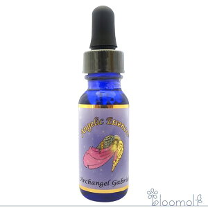 14 VgKuG AWFbNGbZX VgLbg Archangel Gabriel